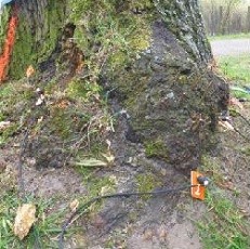 TMS 3树木稳定安全性测试仪 TMS 3树木稳定安全性测试仪