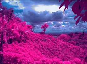 ADC Lite轻便型多光谱数码相机