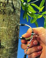 Flow1000探针式植物茎流测量系统 Flow1000探针式植物茎流测量系统