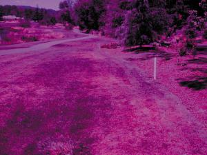 NASA草皮胁迫检测镜片 NASA草皮胁迫检测镜片