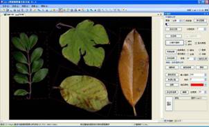 LA-S多功能植物图像分析系统 LA-S多功能植物图像分析系统