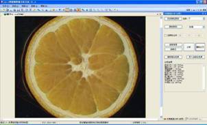 LA-S多功能植物图像分析系统 LA-S多功能植物图像分析系统