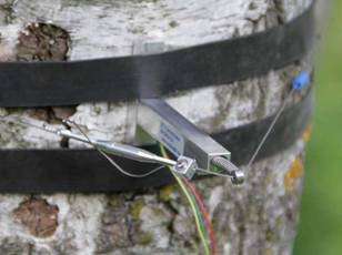 DC2树干周长生长变化记录仪 DC2树干周长生长变化记录仪