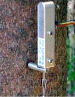 1000型植物生理生态监测系统 1000型植物生理生态监测系统