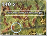 IPM数字式显微镜 IPM数字式显微镜