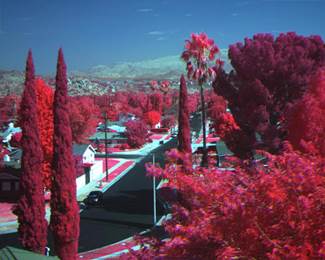 Macaw多光谱数码相机 Macaw多光谱数码相机