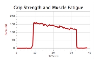HE1LP人体生理学研究系统 HE1LP人体生理学研究系统