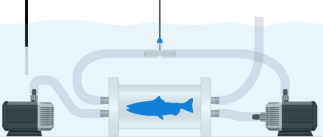 多通道水生生物呼吸代谢测量系统 多通道水生生物呼吸代谢测量系统
