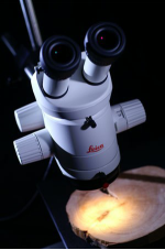 LINTAB 6树木年轮分析仪 LINTAB 6树木年轮分析仪