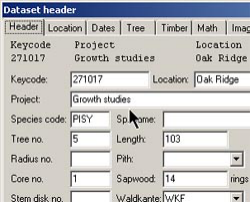 LINTAB 6树木年轮分析仪 LINTAB 6树木年轮分析仪