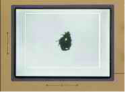 LC-300轨迹球昆虫行为记录仪 LC-300轨迹球昆虫行为记录仪