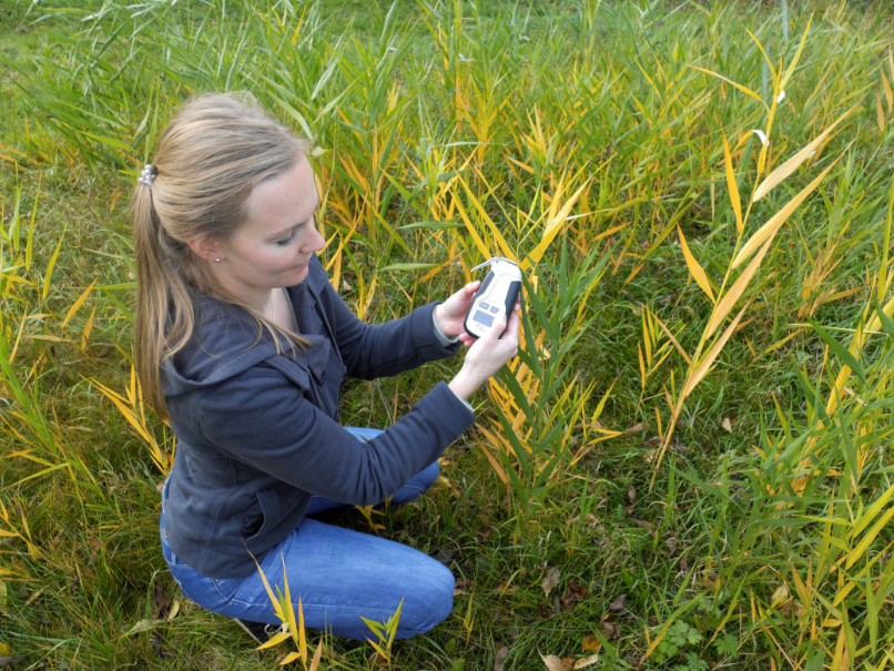 N-Pen植物氮测量仪