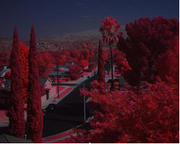 Macaw多光谱数码相机 Macaw多光谱数码相机